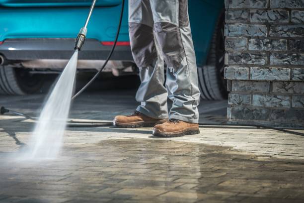 Best Pre-Holiday Cleaning  in Medford, NY