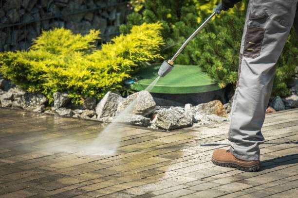 Best Gutter Cleaning  in Medford, NY