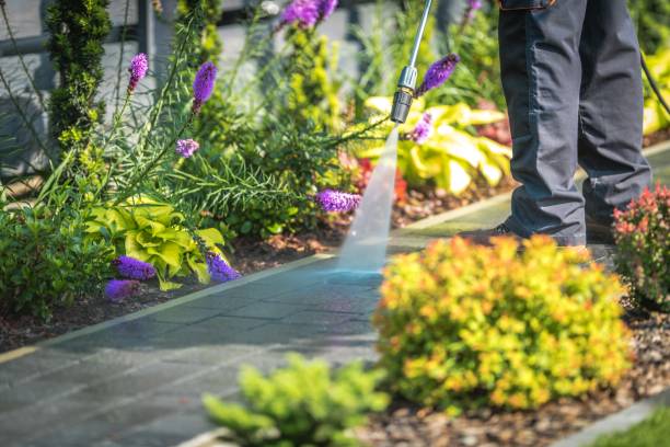 Best Driveway Pressure Washing  in Medford, NY